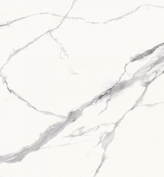 Statuario Goya Matt 61x61