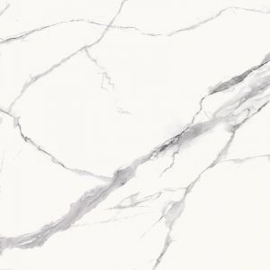 Statuario Goya Matt 61x61