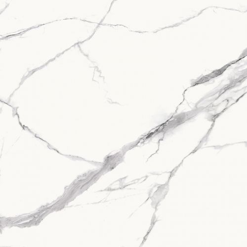 Statuario Goya Matt 61x61