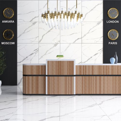 Statuario Goya Matt 61x61