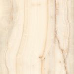 Opal Bone 60x120