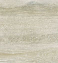 Forest Maple 30x60