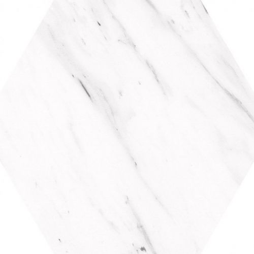 Carrara Hex 25 25x22