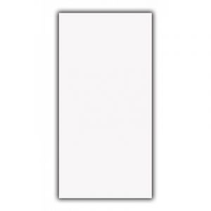 Plain Super White 60x120
