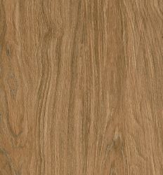 Tavola Marrone Chiaro 30x60