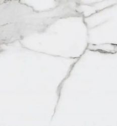 Marble Statuario 25x75