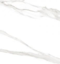 Duomo Blanco Sat. Rec 60x120