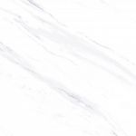 Bologna White Matt US 60x120