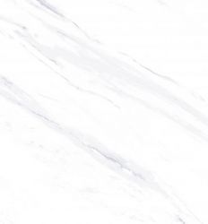 Bologna White Matt US 60x120