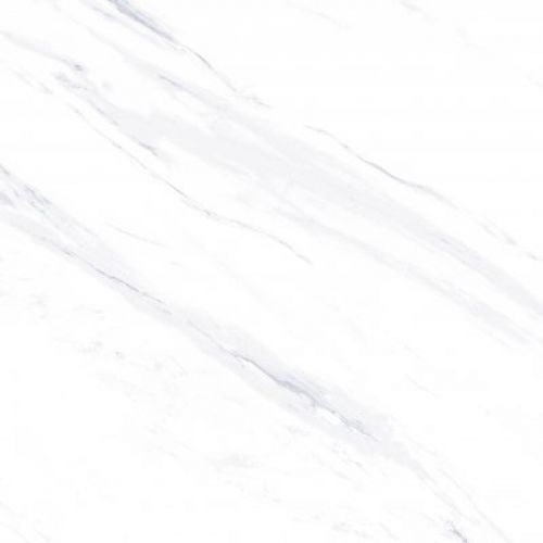 Bologna White Matt US 60x120