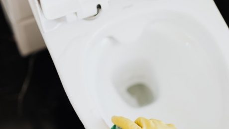 Kako očistiti wc šolju od kamenca