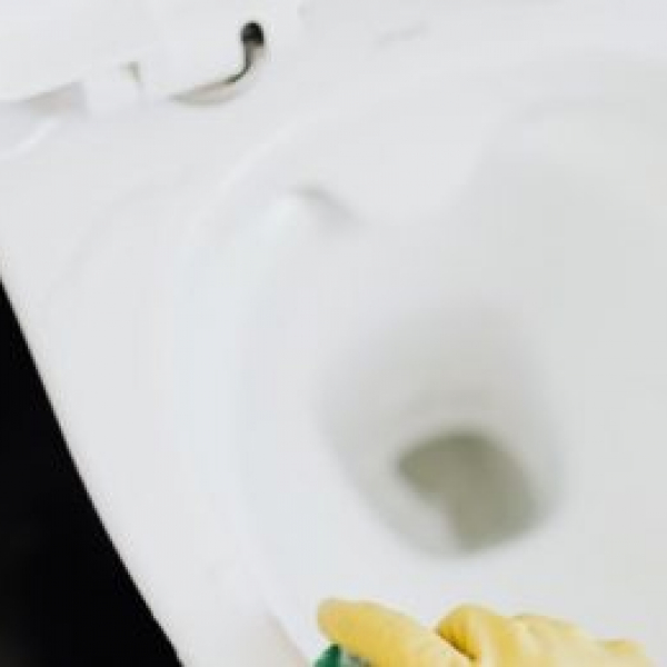 Kako očistiti wc šolju od kamenca